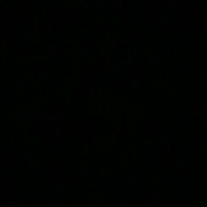 Meet your Posher, Shawna